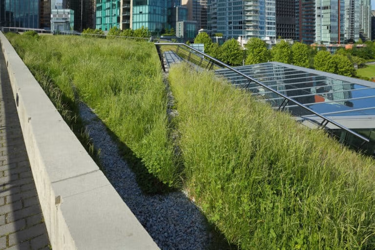 Green Roof Advantages