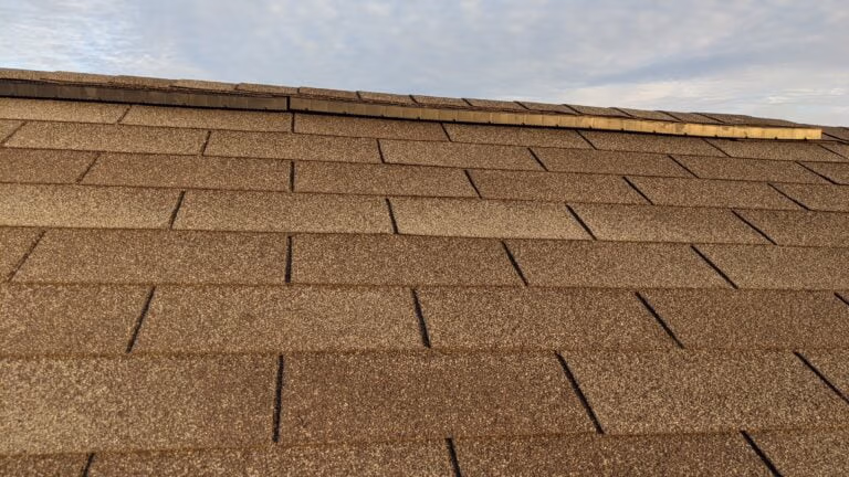 Roofing contractors and insurance adjusters