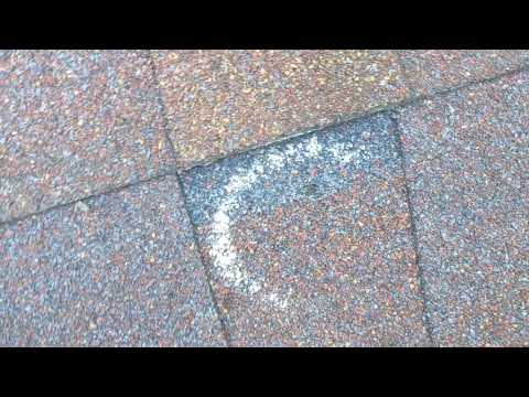 Is Your Roof Covered from Hail Damage? Here's What to Look For