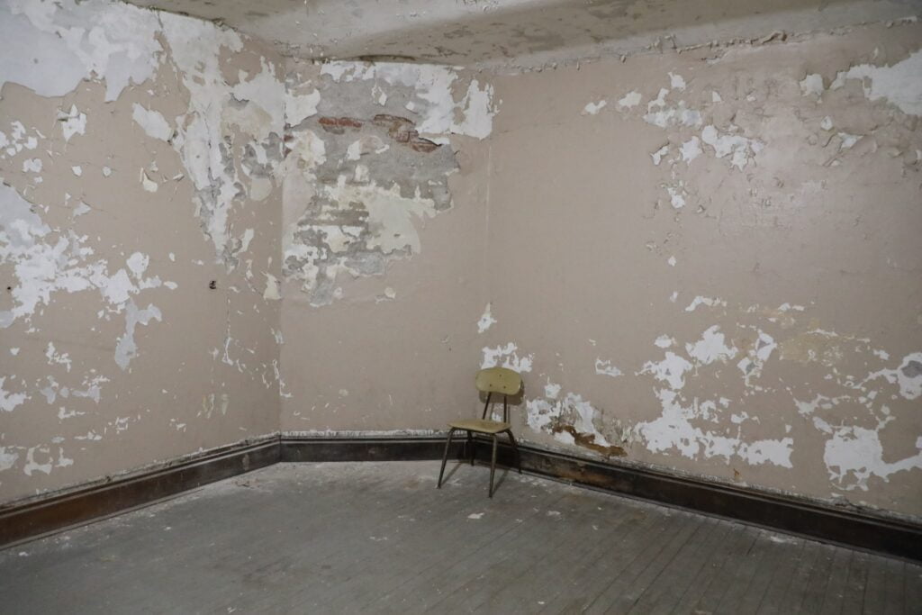 Paint peeling from wall due to mold