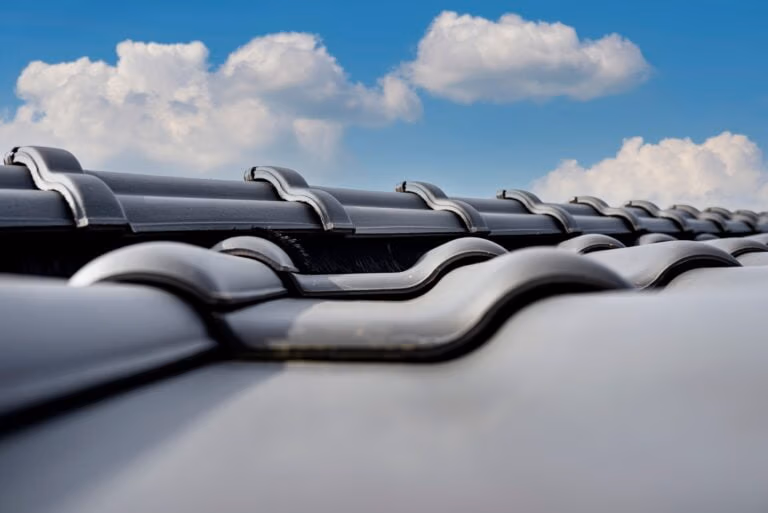 What Are the 4 Main Types of Roof Vents for Attic Ventilation? - A Metal Roof with Ridge Vent