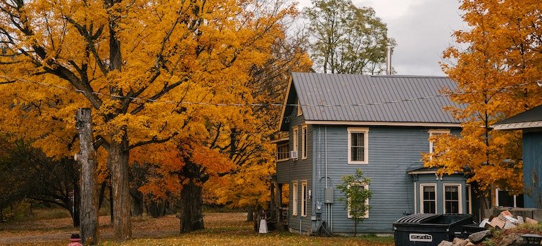 Trees near the house in fall.