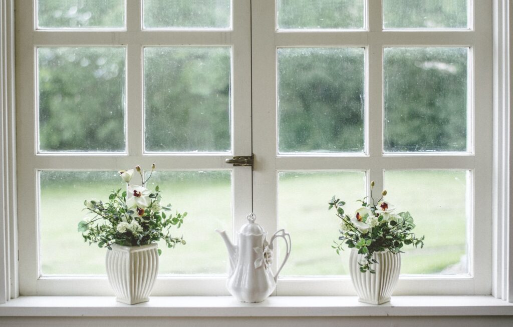 Plants in front of windows